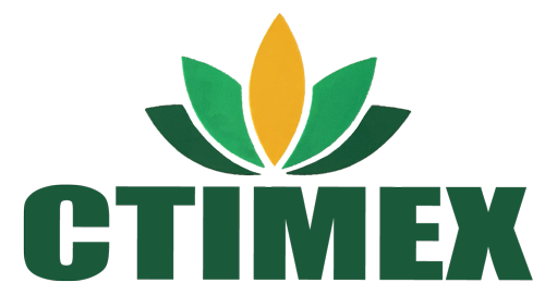 CÔNG TY TNHH XUẤT NHẬP KHẨU TỔNG HỢP CTIMEX